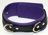 Purple Pleasures BDSM Collar with Studs O-Rings Collars and Leads